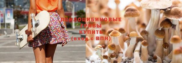 мдпв Вязники