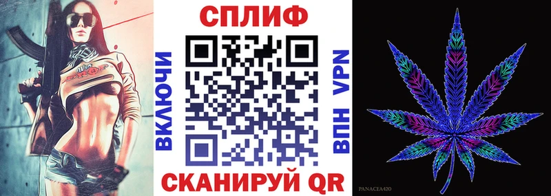 Шишки марихуана сатива  Калач 